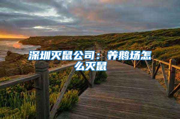 深圳滅鼠公司:養鵝場怎么滅鼠