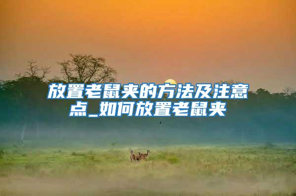 放置老鼠夾的方法及注意點(diǎn)_如何放置老鼠夾