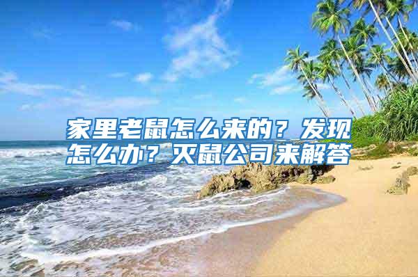 家里老鼠怎么來的?發現怎么辦?滅鼠公司來解答