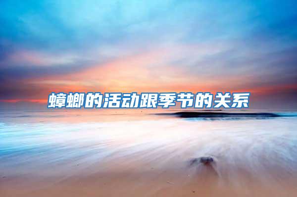 蟑螂的活動跟季節(jié)的關(guān)系