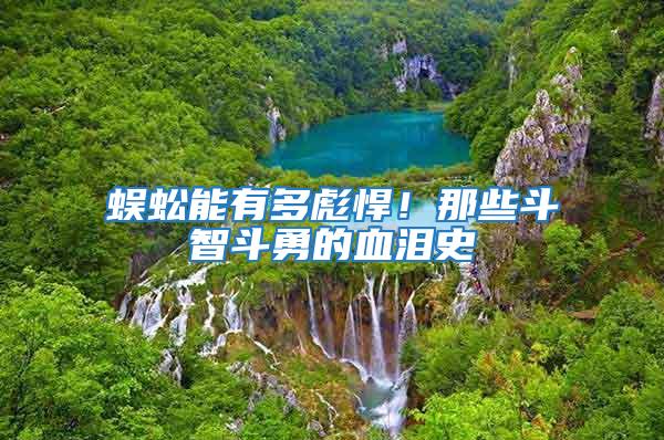 蜈蚣能有多彪悍!那些斗智斗勇的血淚史