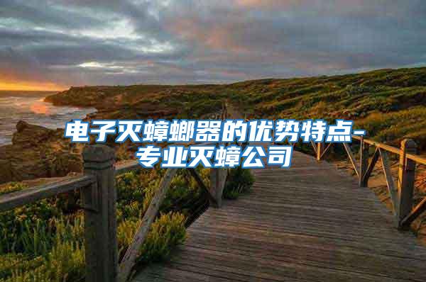 電子滅蟑螂器的優(yōu)勢(shì)特點(diǎn)-專業(yè)滅蟑公司