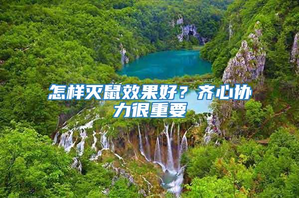 怎樣滅鼠效果好?齊心協力很重要