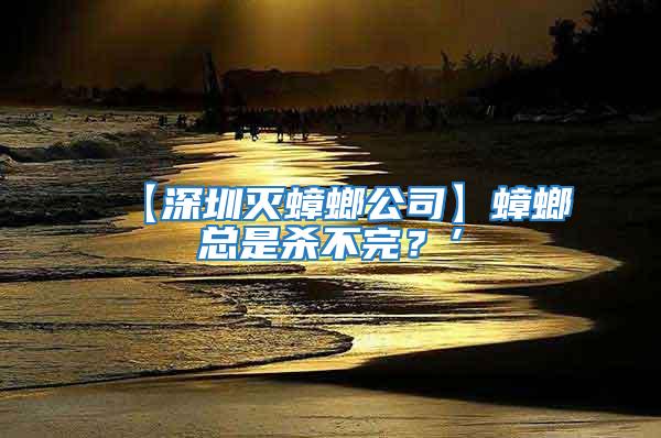 【深圳滅蟑螂公司】蟑螂總是殺不完?’