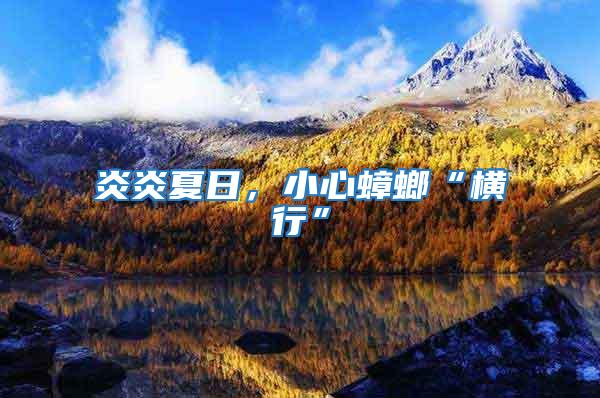 炎炎夏日,小心蟑螂“橫行”