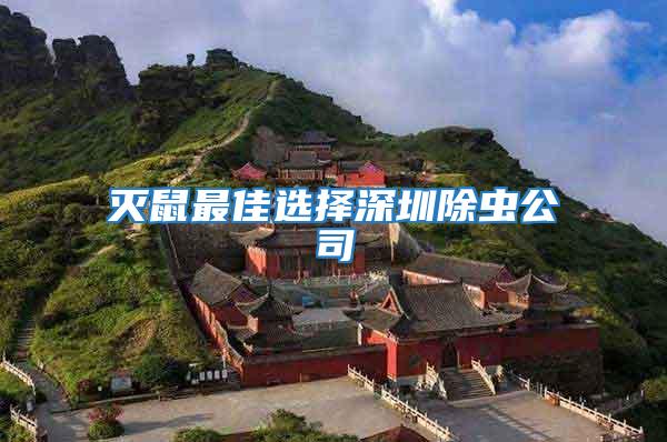 滅鼠最佳選擇深圳除蟲公司