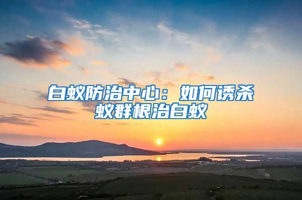 白蟻防治中心:如何誘殺蟻群根治白蟻