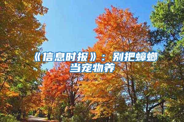 《信息時(shí)報(bào)》:別把蟑螂當(dāng)寵物養(yǎng)