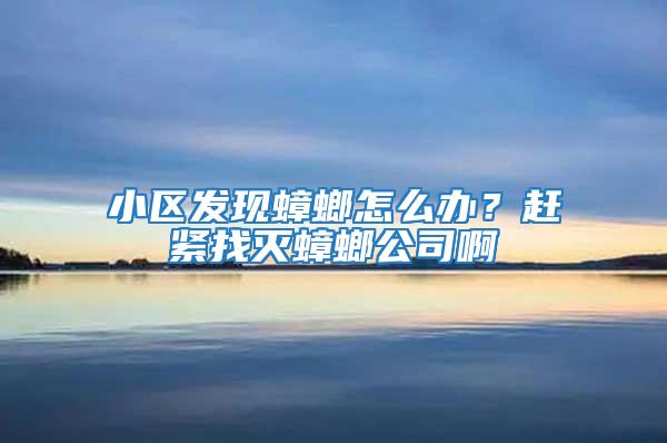 小區發現蟑螂怎么辦?趕緊找滅蟑螂公司啊