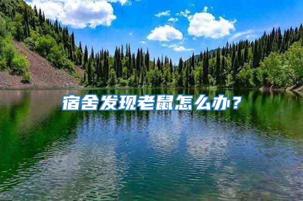 宿舍發(fā)現(xiàn)老鼠怎么辦?