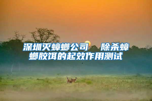 深圳滅蟑螂公司 除殺蟑螂膠餌的起效作用測試