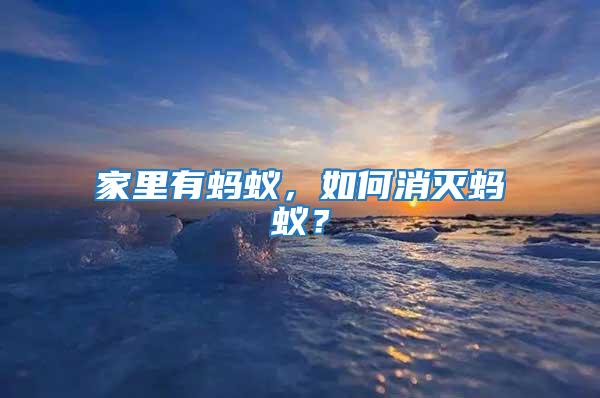 家里有螞蟻,如何消滅螞蟻?