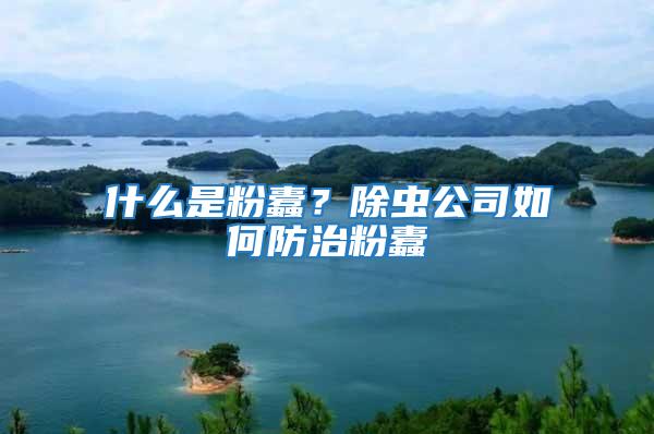 什么是粉蠹?除蟲公司如何防治粉蠹