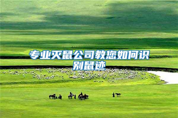 專(zhuān)業(yè)滅鼠公司教您如何識(shí)別鼠跡