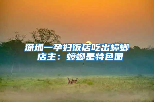 深圳一孕婦飯店吃出蟑螂 店主:蟑螂是特色圖