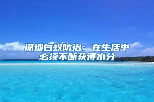 深圳白蟻防治:在生活中必須不斷獲得水分