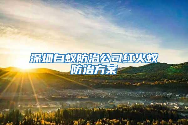深圳白蟻防治公司紅火蟻防治方案