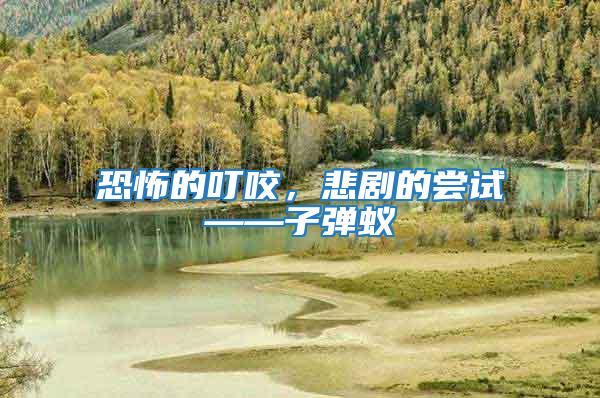 恐怖的叮咬，悲劇的嘗試——子彈蟻