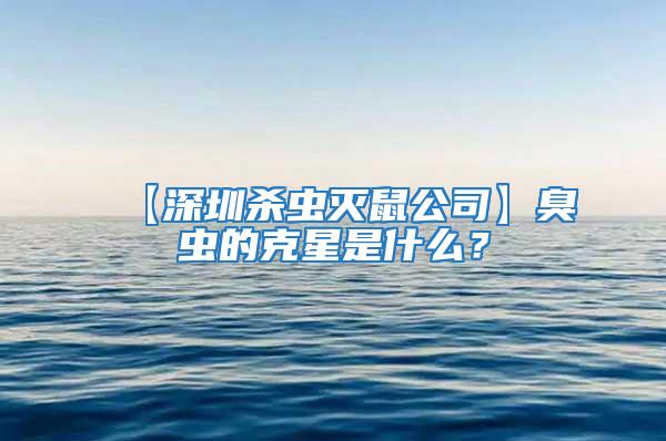 【深圳殺蟲滅鼠公司】臭蟲的克星是什么？