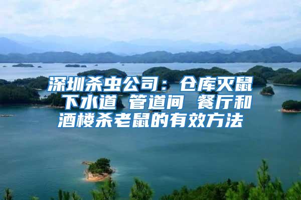 深圳殺蟲(chóng)公司:倉(cāng)庫(kù)滅鼠 下水道 管道間 餐廳和酒樓殺老鼠的有效方法