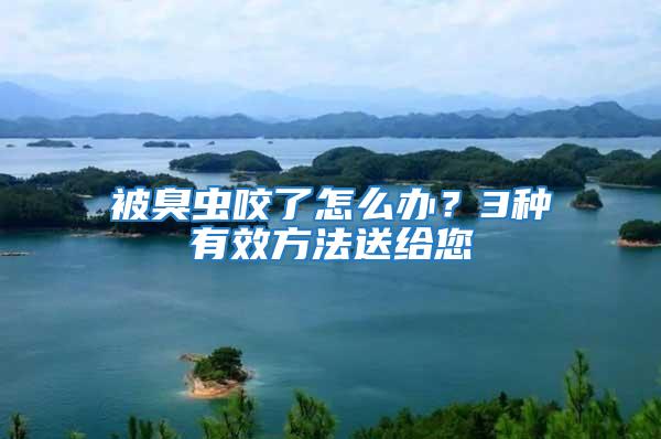 被臭蟲咬了怎么辦？3種有效方法送給您