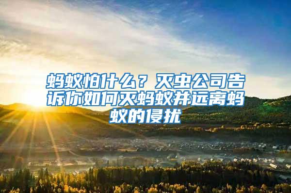 螞蟻怕什么?滅蟲公司告訴你如何滅螞蟻并遠(yuǎn)離螞蟻的侵?jǐn)_