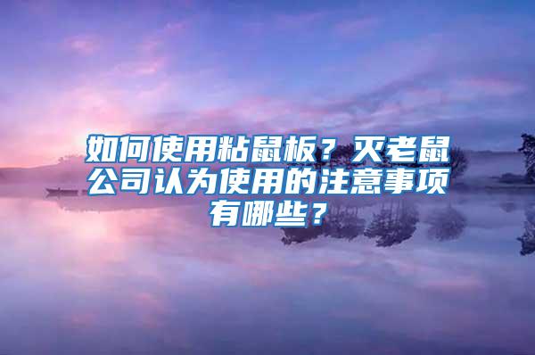 如何使用粘鼠板?滅老鼠公司認為使用的注意事項有哪些?