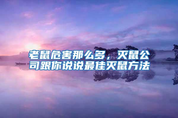 老鼠危害那么多，滅鼠公司跟你說說最佳滅鼠方法