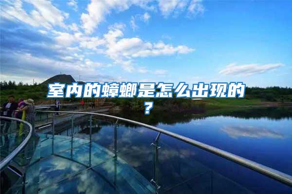 室內的蟑螂是怎么出現的?