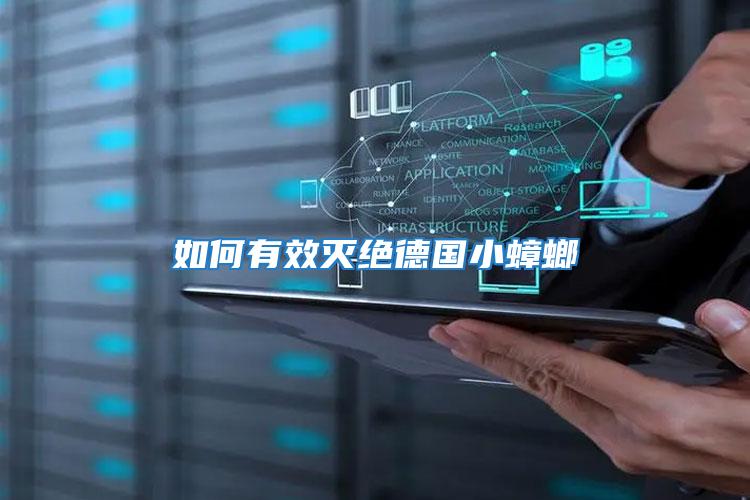 如何有效滅絕德國(guó)小蟑螂