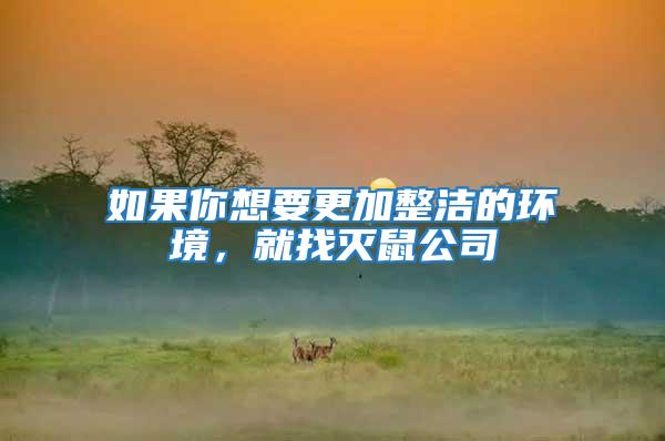 如果你想要更加整潔的環境,就找滅鼠公司