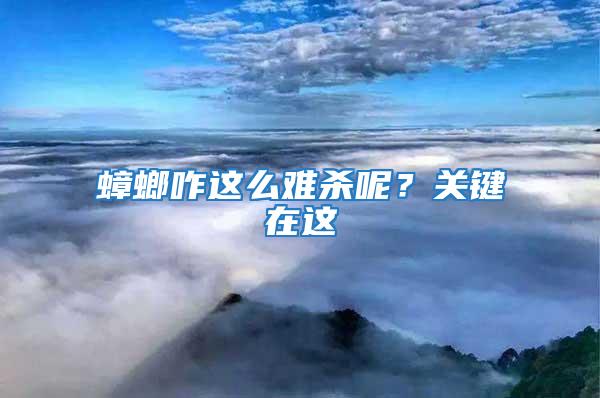 蟑螂咋這么難殺呢?關鍵在這