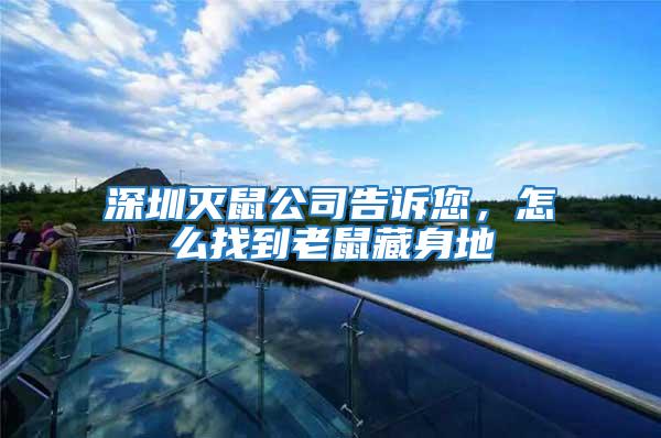 深圳滅鼠公司告訴您，怎么找到老鼠藏身地