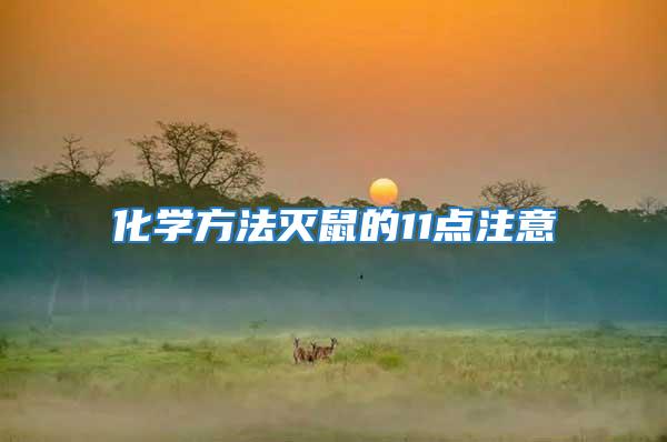 化學(xué)方法滅鼠的11點注意