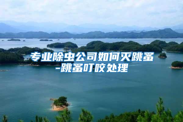 專業除蟲公司如何滅跳蚤-跳蚤叮咬處理