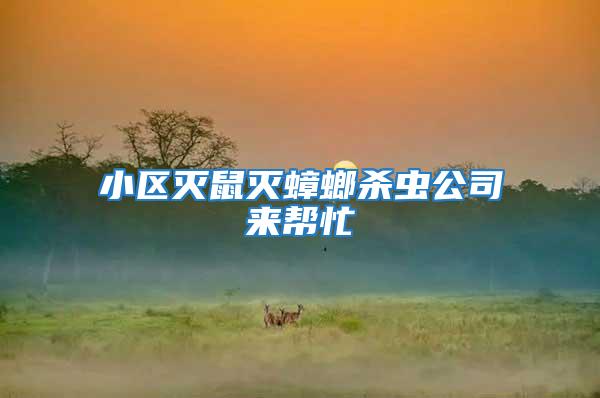 小區滅鼠滅蟑螂殺蟲公司來幫忙