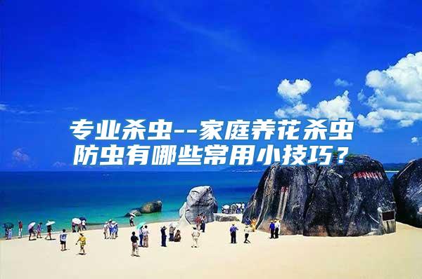 專業殺蟲--家庭養花殺蟲防蟲有哪些常用小技巧?