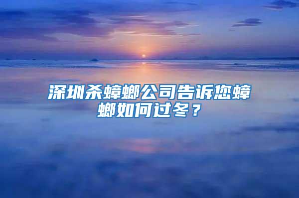 深圳殺蟑螂公司告訴您蟑螂如何過冬？