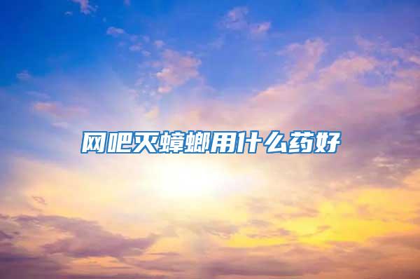 網吧滅蟑螂用什么藥好