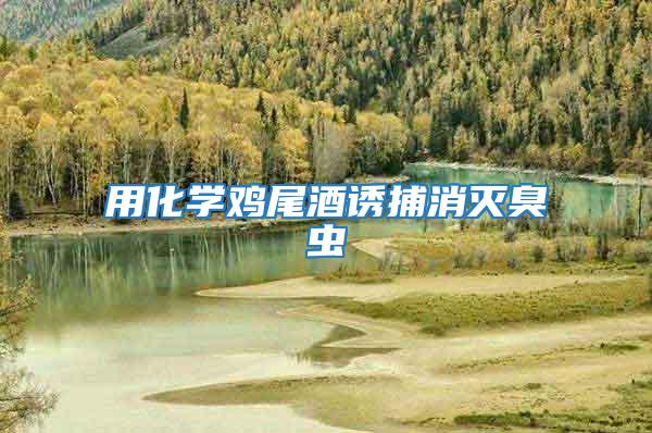 用化學(xué)雞尾酒誘捕消滅臭蟲