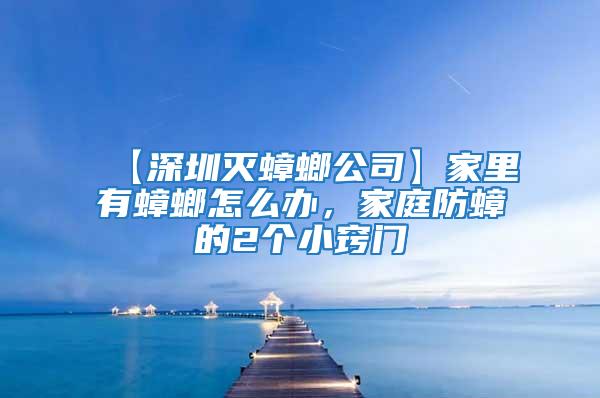 【深圳滅蟑螂公司】家里有蟑螂怎么辦,家庭防蟑的2個小竅門