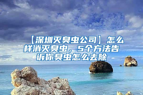 【深圳滅臭蟲公司】怎么樣消滅臭蟲,5個方法告訴你臭蟲怎么去除