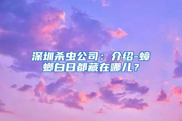 深圳殺蟲公司：介紹-蟑螂白日都藏在哪兒？