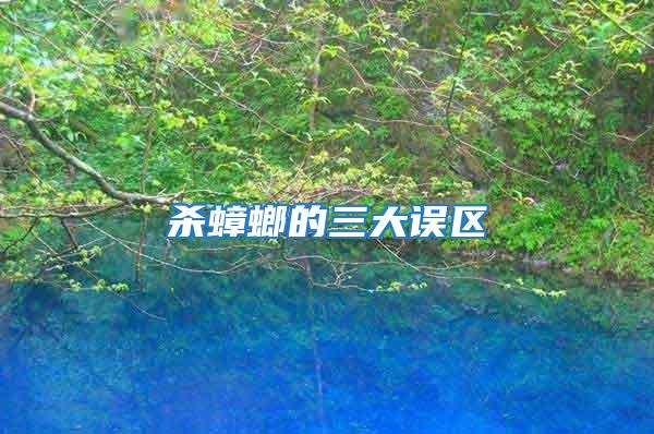 殺蟑螂的三大誤區(qū)