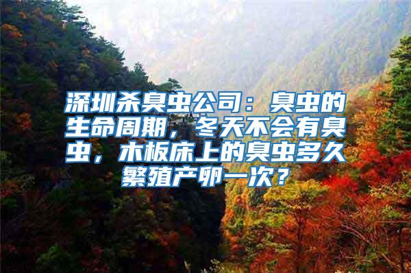 深圳殺臭蟲公司:臭蟲的生命周期,冬天不會有臭蟲,木板床上的臭蟲多久繁殖產卵一次?