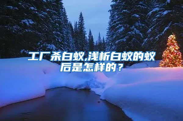 工廠殺白蟻,淺析白蟻的蟻后是怎樣的?