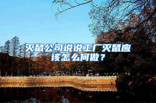 滅鼠公司說(shuō)說(shuō)工廠滅鼠應(yīng)該怎么何做？