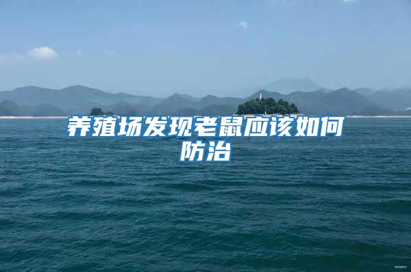 養(yǎng)殖場發(fā)現(xiàn)老鼠應(yīng)該如何防治