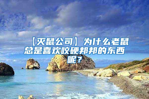 【滅鼠公司】為什么老鼠總是喜歡咬硬邦邦的東西呢?