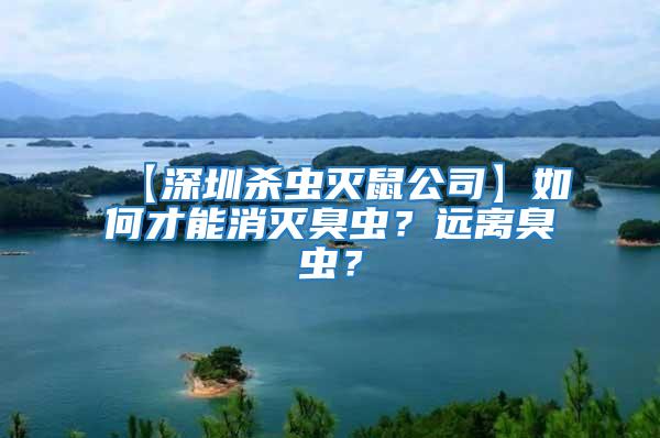 【深圳殺蟲滅鼠公司】如何才能消滅臭蟲?遠離臭蟲?